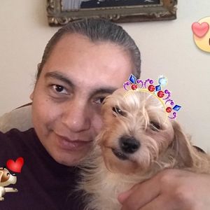 Meet your Posher, Dinorah g